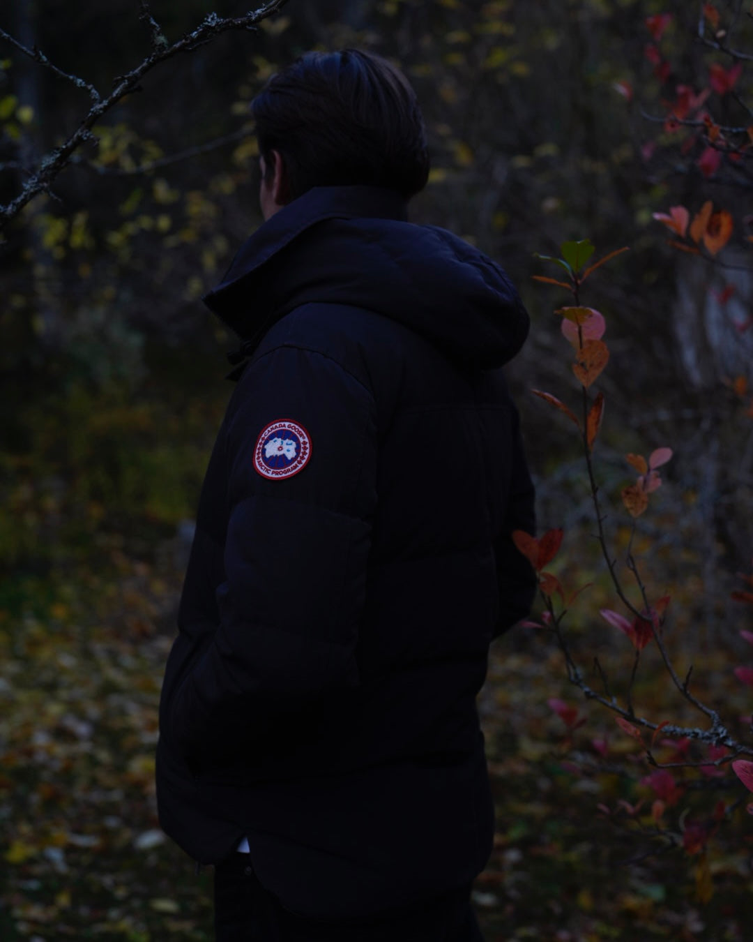 Canada Goose MacMillan Parka
